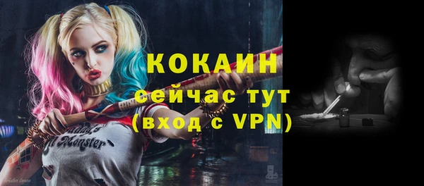 Альфа ПВП Бугульма