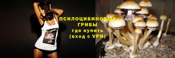 мдма Бородино