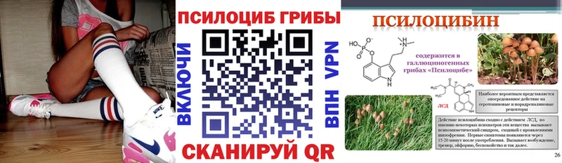 Псилоцибиновые грибы Psilocybine cubensis Новоуральск